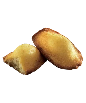 엘리자벳 마들렌