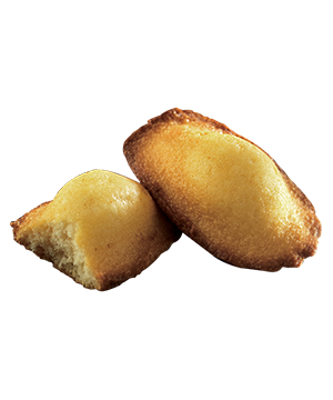 엘리자벳 마들렌